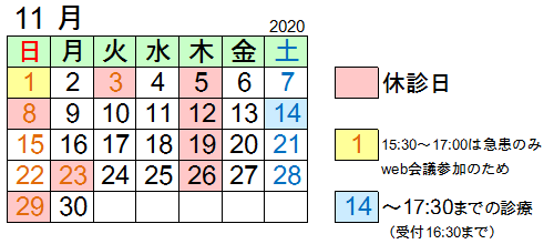 2020年11月予定