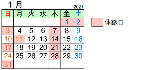 2021年1月予定